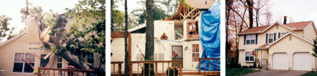 Wind Damage